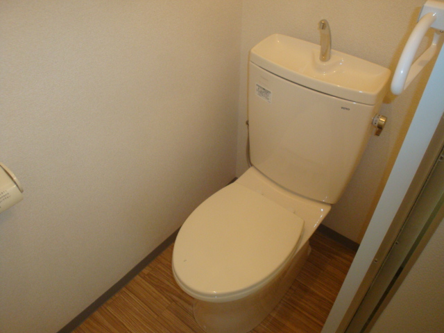 Toilet. It was replaced with a new one.