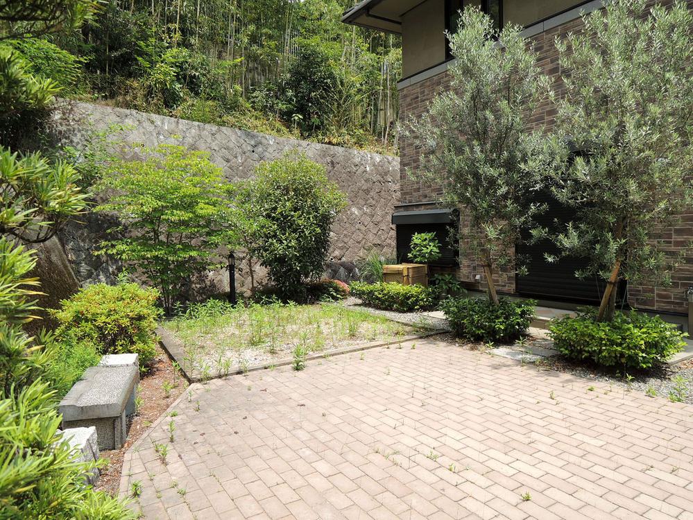 Garden. Local shooting