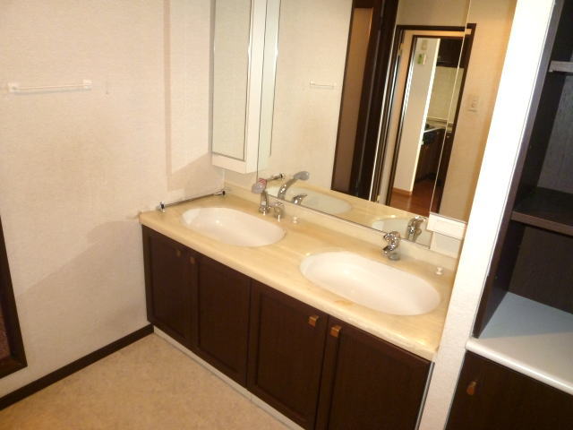 Other. 2 bowl washbasin Shampoo is Dresser