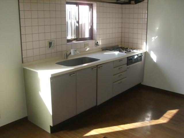 Kitchen. Indoor (12 May 2013) Shooting