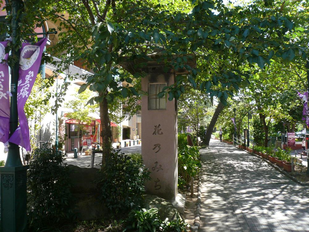 Streets around. 700m until the flower of the road