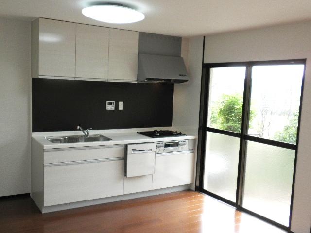 Kitchen. Local (10 May 2013) Shooting