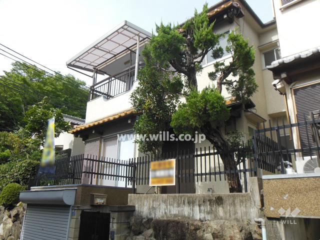 Local appearance photo. Local (August 2013) Shooting