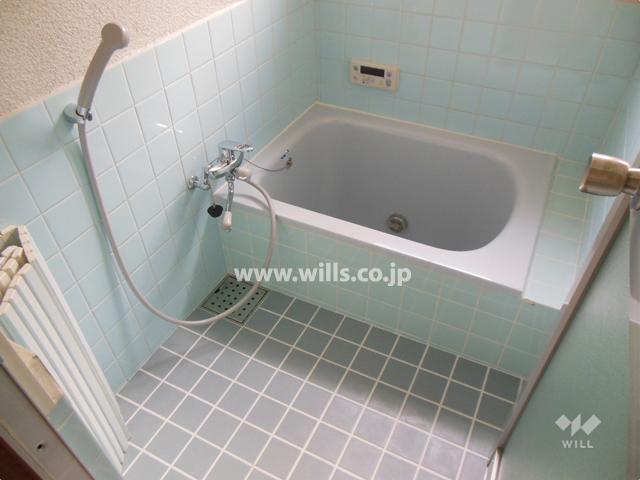 Bathroom. Room (August 2013) Shooting