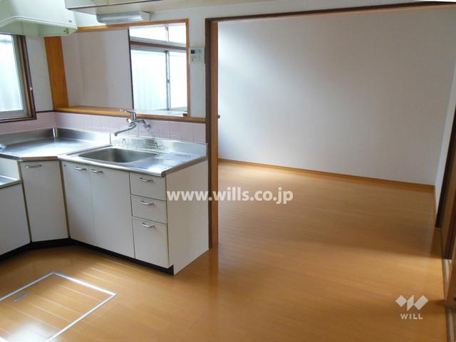 Living. Room (August 2013) Shooting