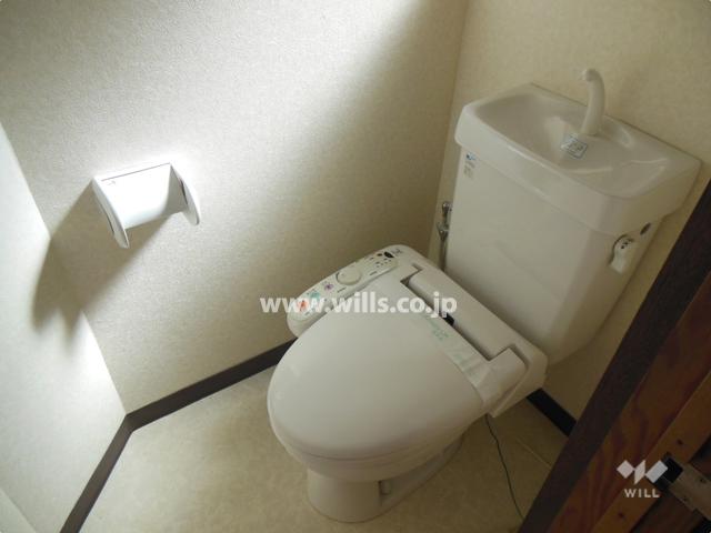 Toilet. Room (August 2013) Shooting