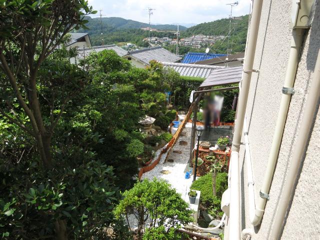 Other local. Garden of the property