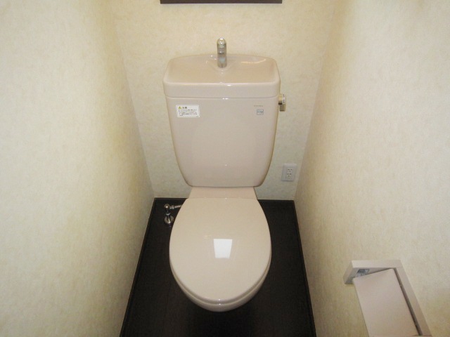 Toilet. It is a reference photo of the other rooms
