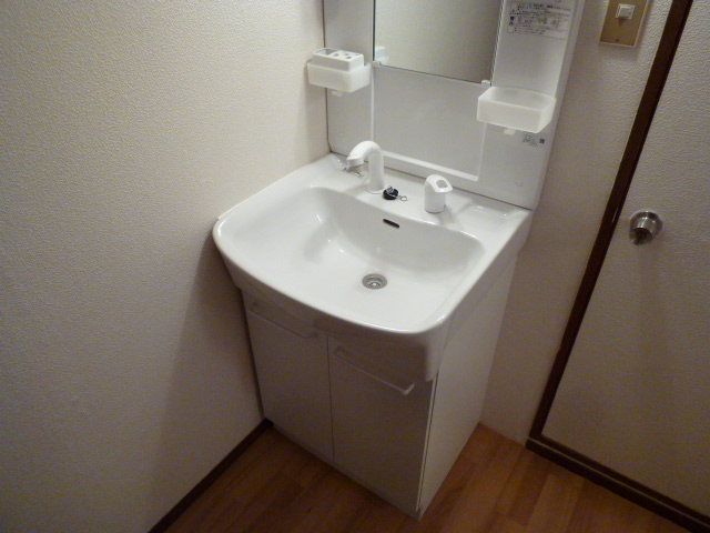 Washroom. Shampoo dresser