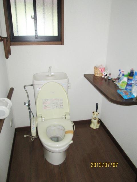 Toilet. Indoor (July 2013) Shooting