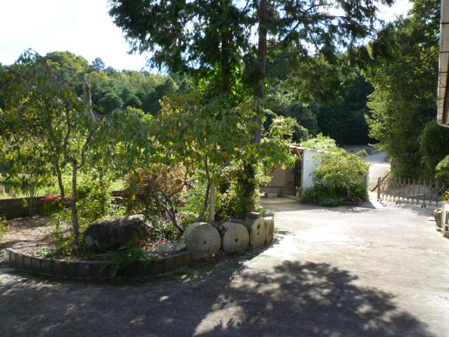 Garden. Symbol tree in the garden