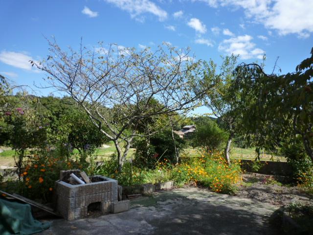 Garden. It has been planted cherry trees in the garden, In the spring you can cherry-blossom viewing in the garden.