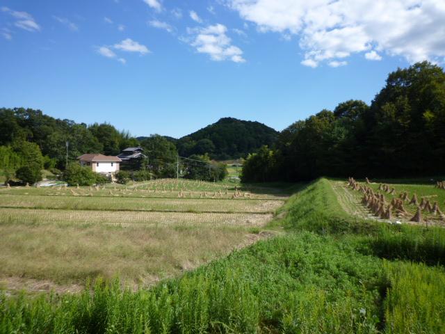 View photos from the dwelling unit. The surroundings are idyllic countryside.