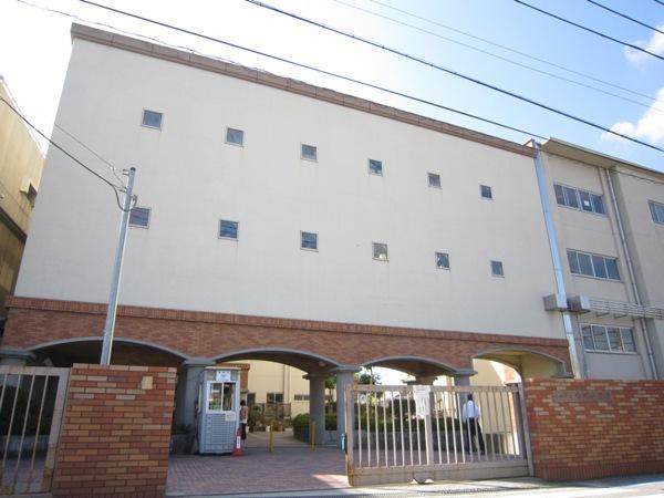 Primary school. Takarazuka elementary school