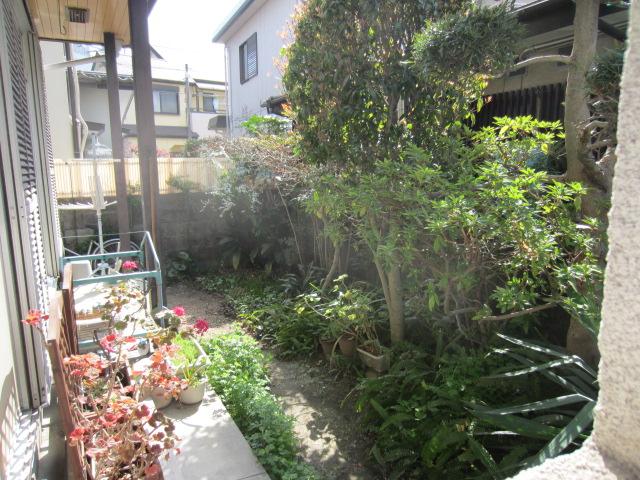 Garden. Local (March 2013) Shooting