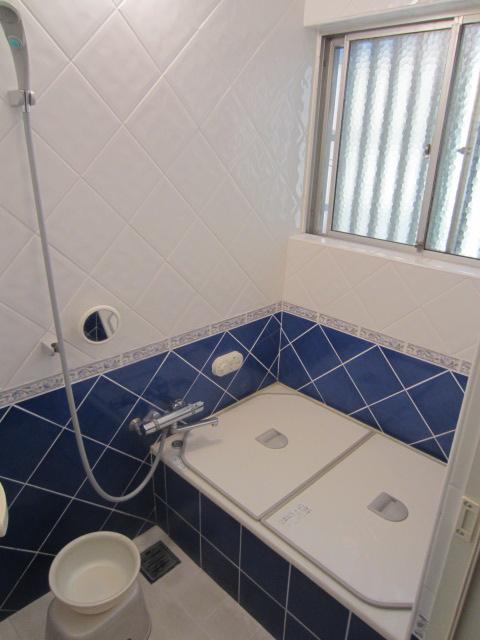 Bathroom. Indoor (March 2013) Shooting