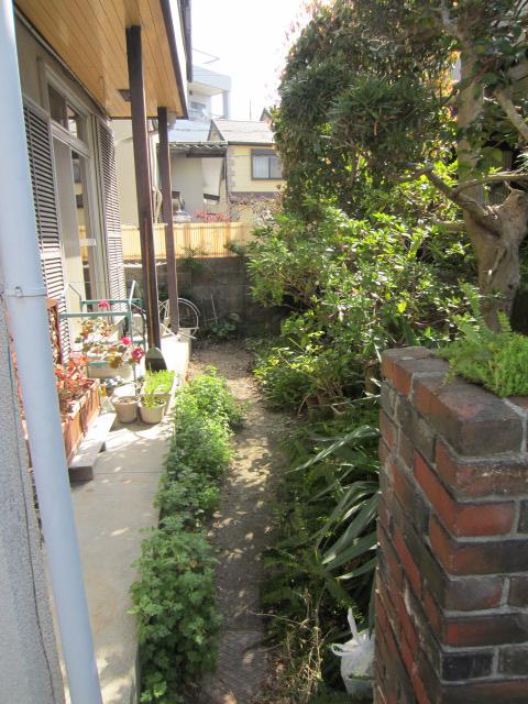 Garden. Local (March 2013) Shooting