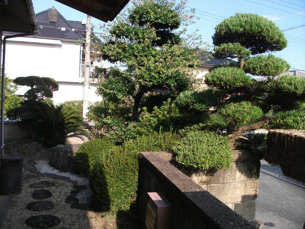 Garden. Shooting the entrance next to the garden