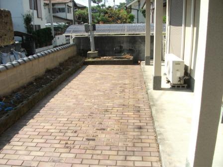 Garden. Shoot the south side garden part