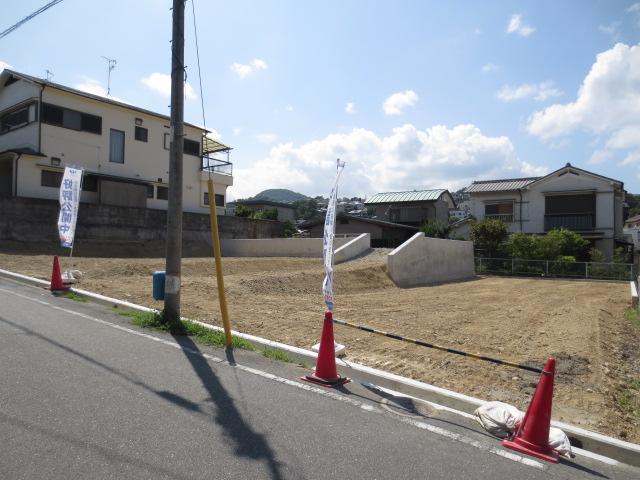 Local land photo. The entire subdivision (from the east)
