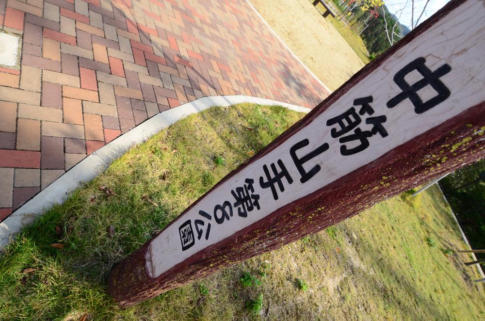 Other Environmental Photo. Local Town in the park