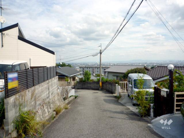 Local photos, including front road. North front road (from the west)