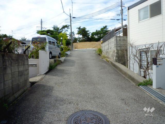 Local photos, including front road. North front road (from the east)