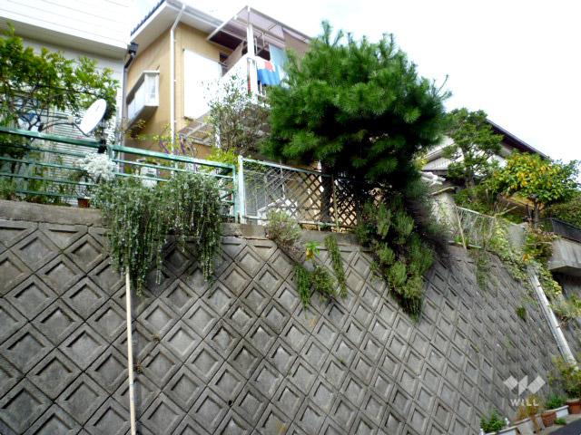 Local appearance photo. From the southwest side