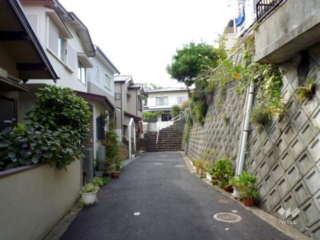 Local photos, including front road. South front road (from the east)