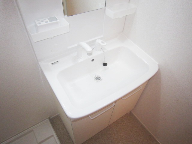 Washroom. Washbasin with happy shower in the morning