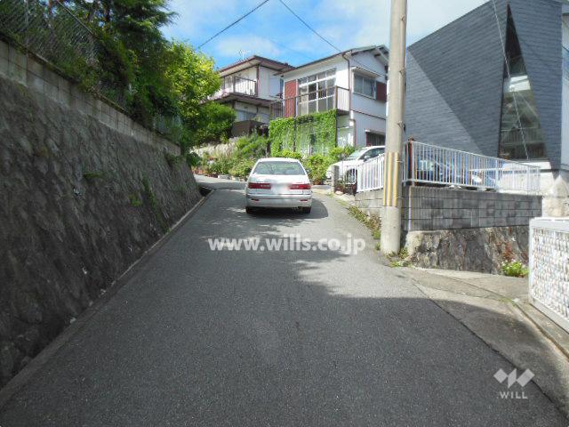 Local photos, including front road. Property of the front road (from the south)