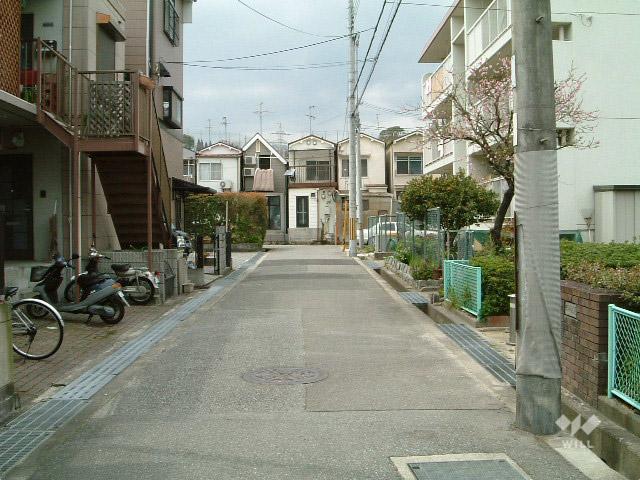 Other local. Property of the south front of the road (from the west)