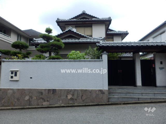 Local appearance photo. Local (July 2013) Shooting