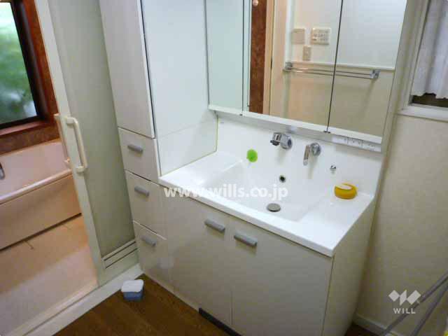 Wash basin, toilet. You are renovation