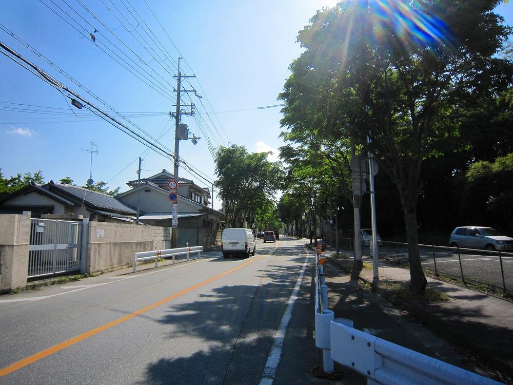 Local photos, including front road