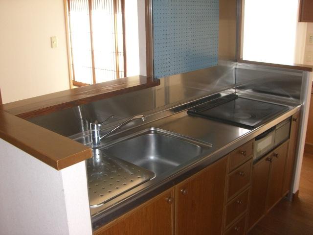 Kitchen. Indoor (11 May 2013) Shooting