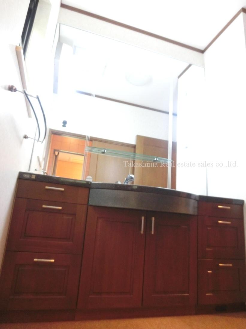 Wash basin, toilet. Large wash basin is housed plenty.