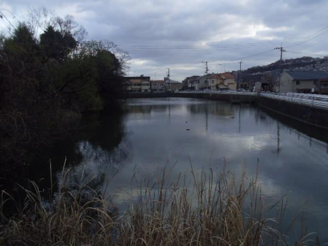 Streets around. 80m to grape pond