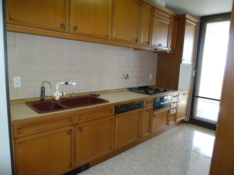 Kitchen. System kitchen