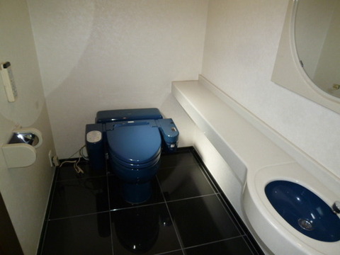 Toilet. Toilet with hand washing counter