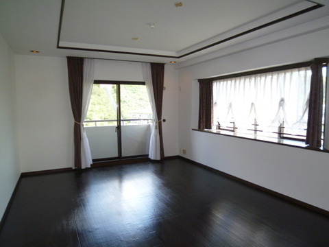 Living and room. Western-style 16.3 Pledge