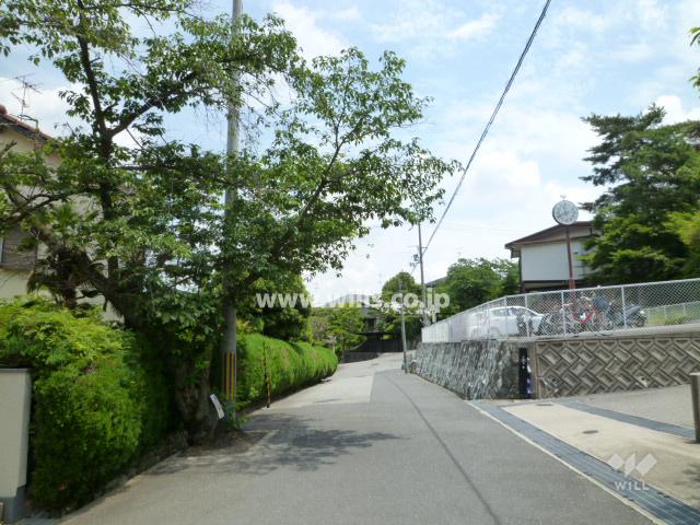 Local photos, including front road. Southwest side front road of Property