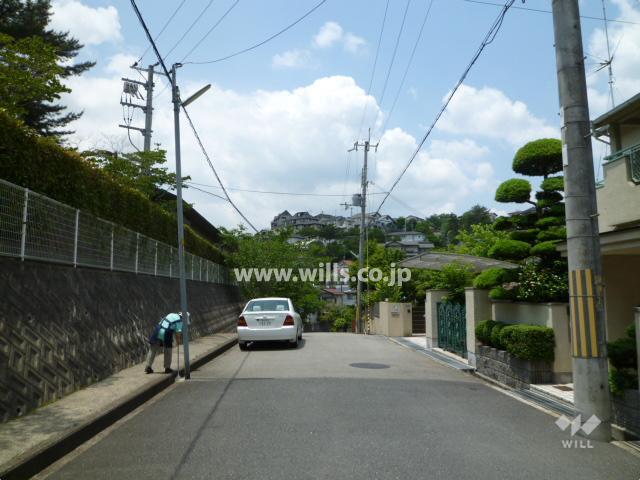 Local photos, including front road. Southwest side front road of Property