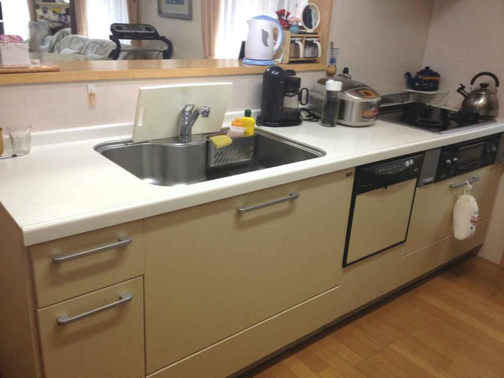 Kitchen. Dish washing dryer with system kitchen is the face-to-face.