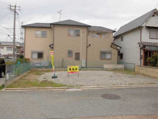 Local land photo. Appearance (1)