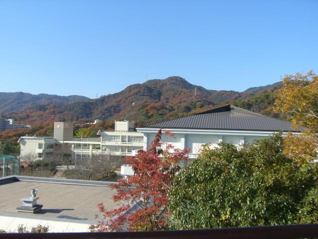 Other. View from the second floor