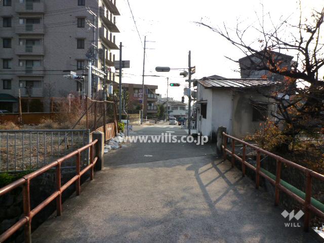 Local photos, including front road. Local (12 May 2013) Shooting