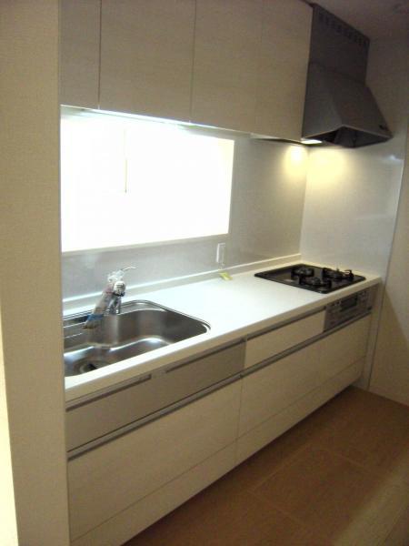 Kitchen. Counter-type of system Kitchen