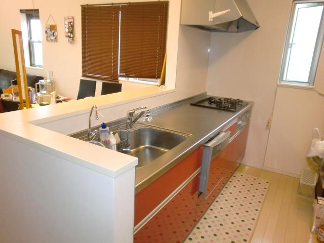 Kitchen. This is a system kitchen with a dishwasher.