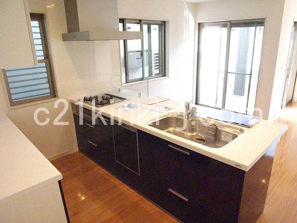 Kitchen. Local photo (kitchen) Slide storage, Water purification type metal shower faucet